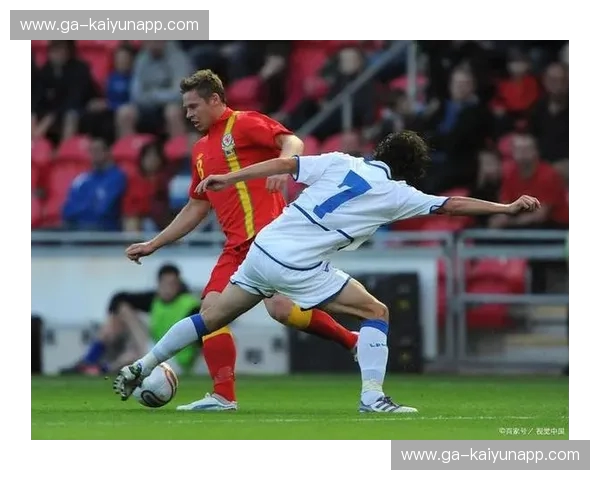 绿茵场上的宿命对决：波黑与爱尔兰的恩怨情仇