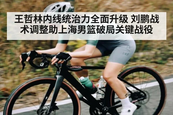 王哲林内线统治力全面升级 刘鹏战术调整助上海男篮破局关键战役
